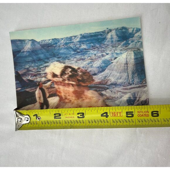 Vintage postcard Holographic Petrified Forest National Park Arizona Petley - Picture 6 of 8